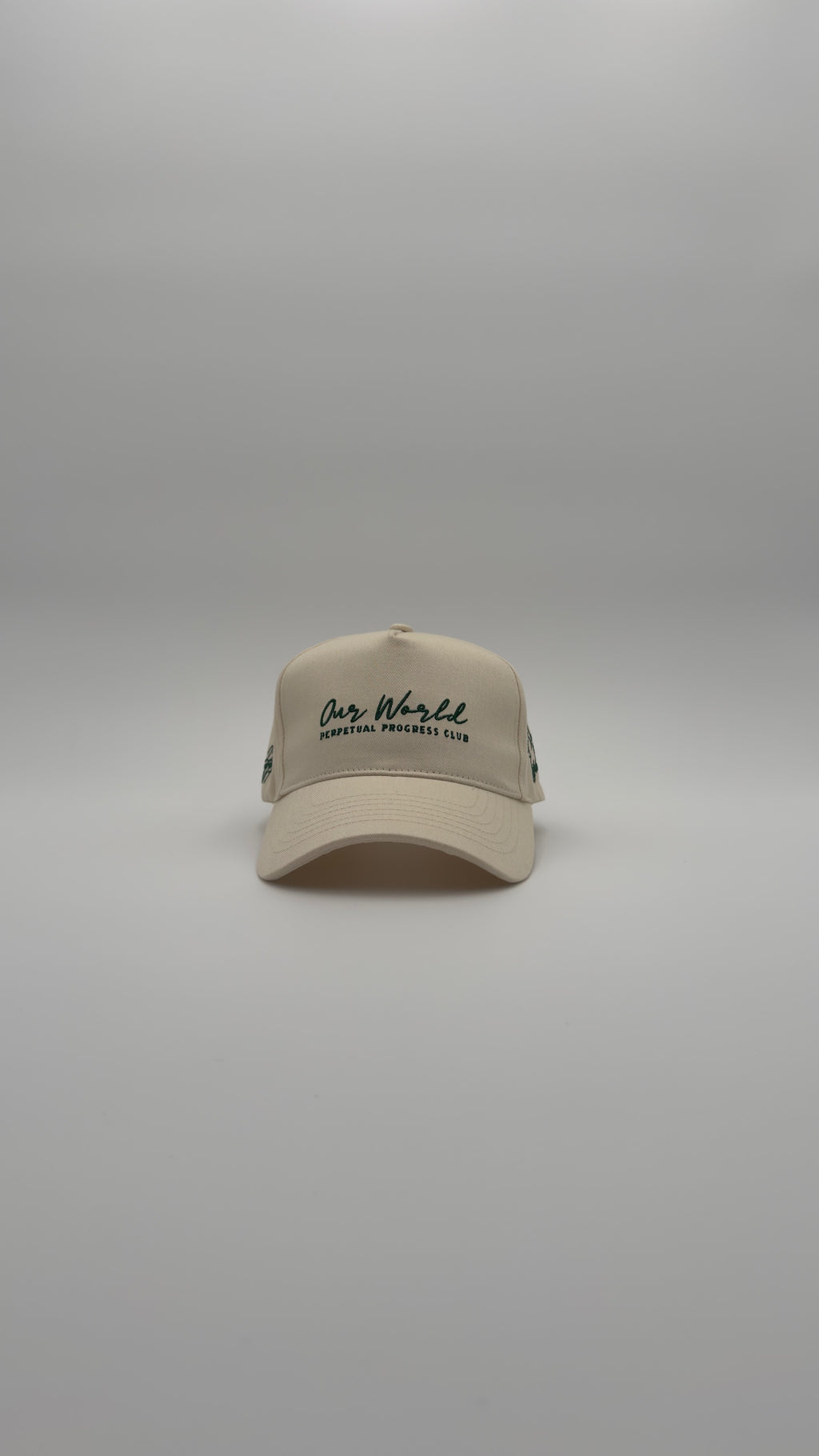 Olive Canvas Grove