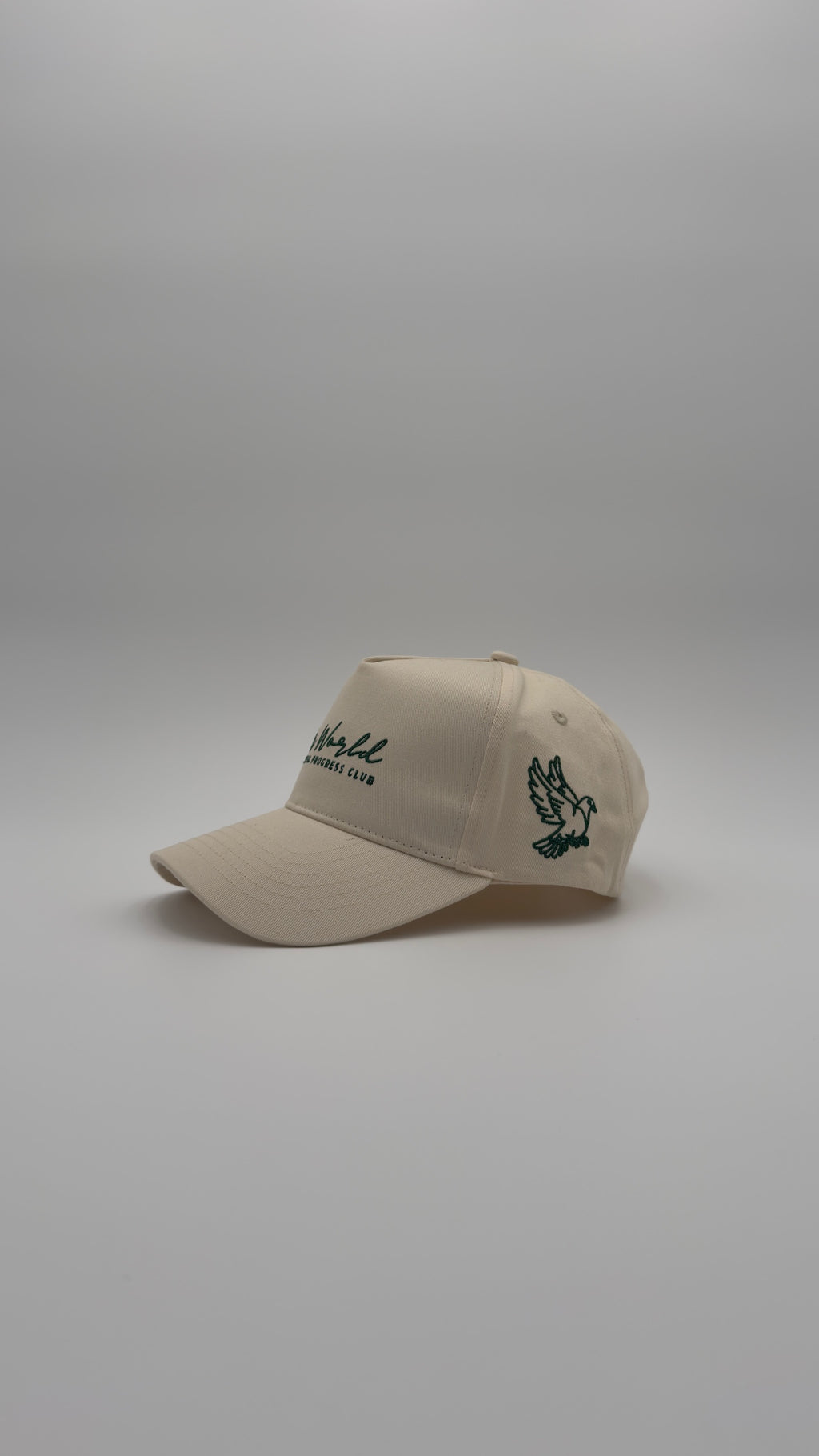 Olive Canvas Grove